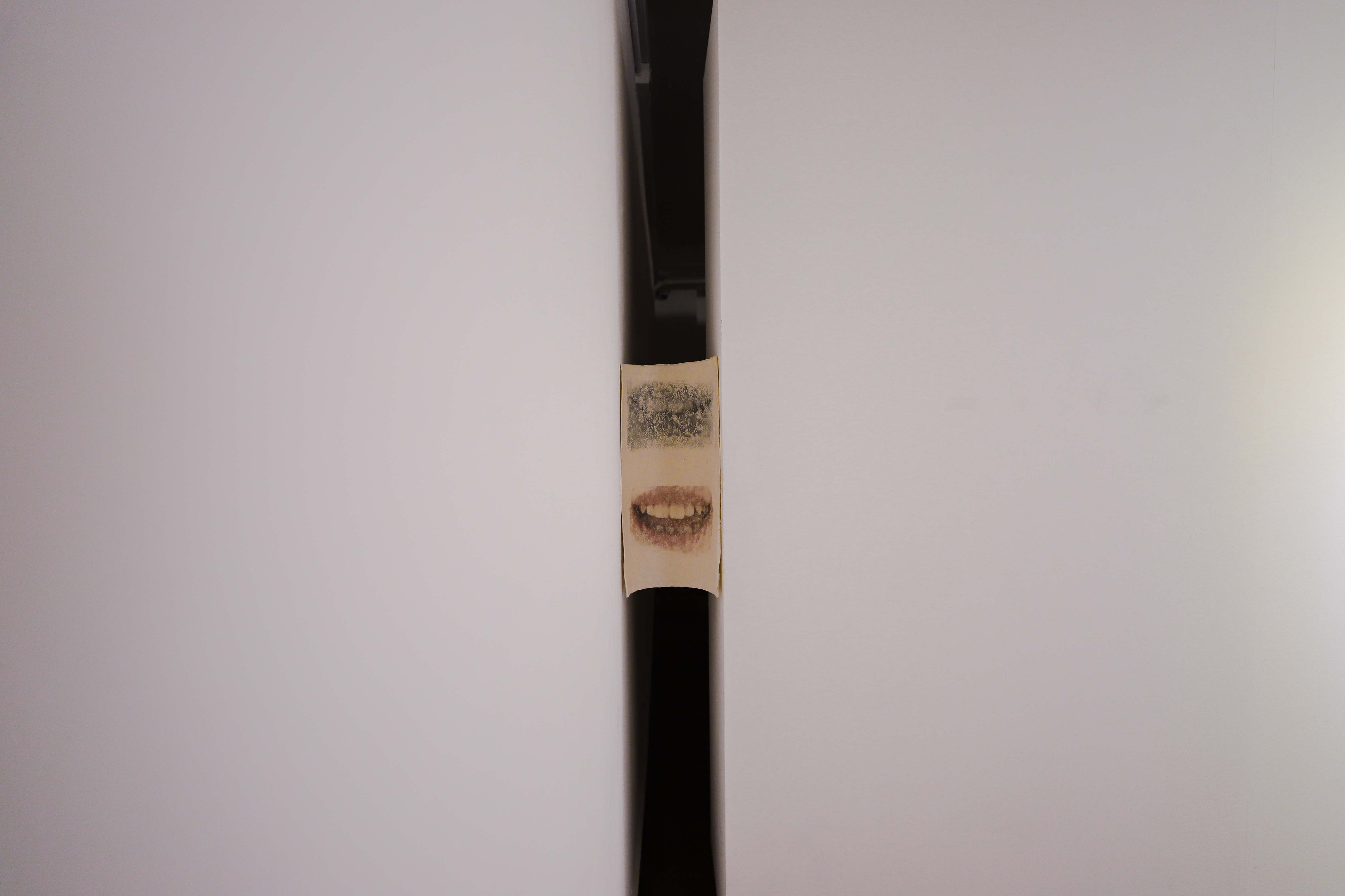 what I really mean, 2025